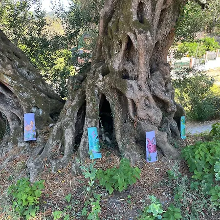 Hill House Ferienhaus Agios Georgios Pagon