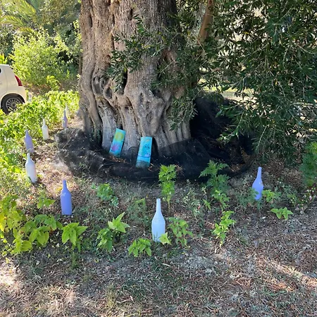 Ferienhaus Hill House Agios Georgios Pagon